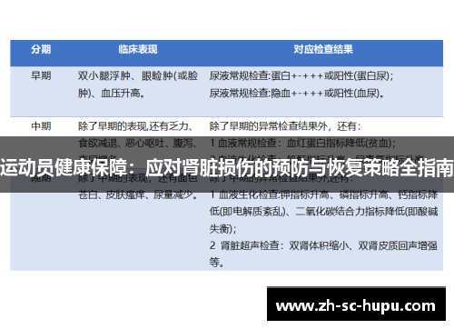 运动员健康保障:应对肾脏损伤的预防与恢复策略全指南 运动员健康保障:应对肾脏损伤的预防与恢复策略全指南